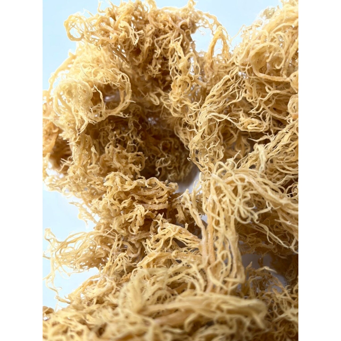 Wildcrafted St. Lucian Dry Sea Moss (100g+)